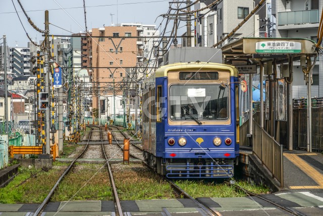 写真のタイトルが入ります