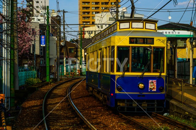 写真のタイトルが入ります