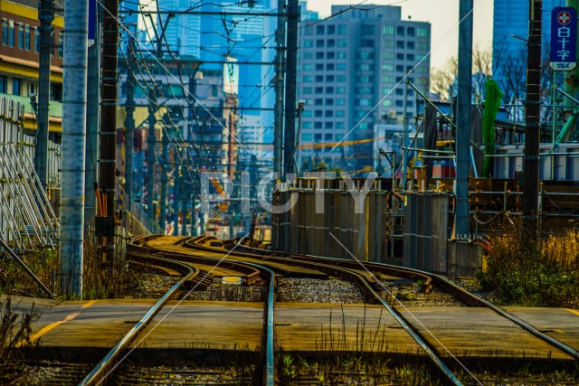 写真のタイトルが入ります