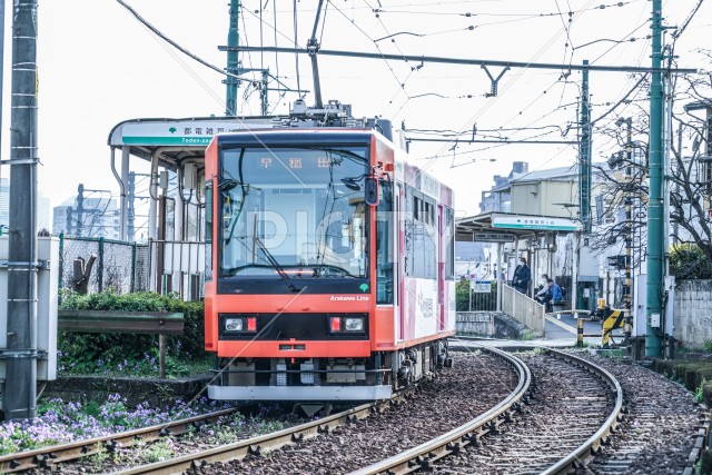 写真のタイトルが入ります
