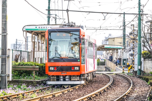 写真のタイトルが入ります