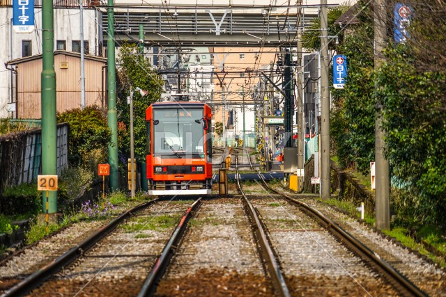 写真のタイトルが入ります
