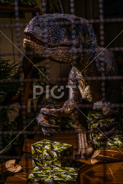 写真のタイトルが入ります