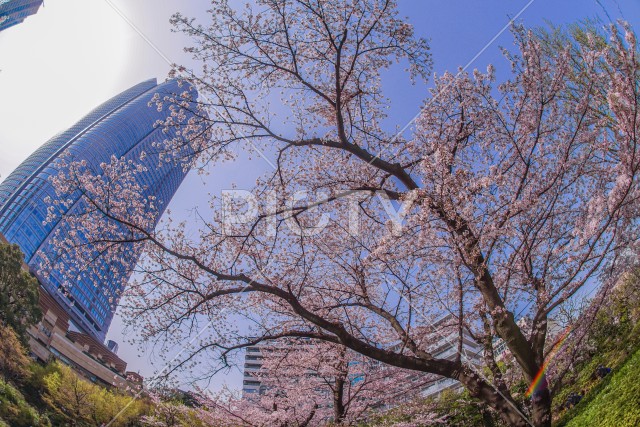 写真のタイトルが入ります