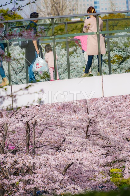 写真のタイトルが入ります