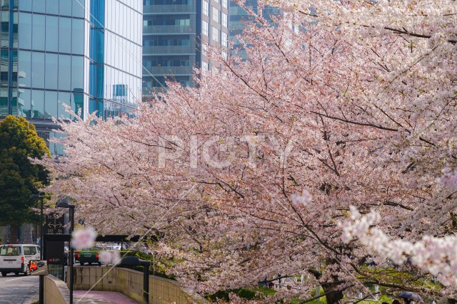 写真のタイトルが入ります