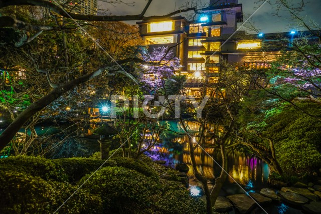 春の日本庭園のイメージ