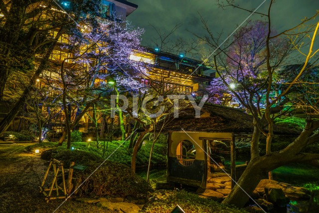 春の日本庭園のイメージ