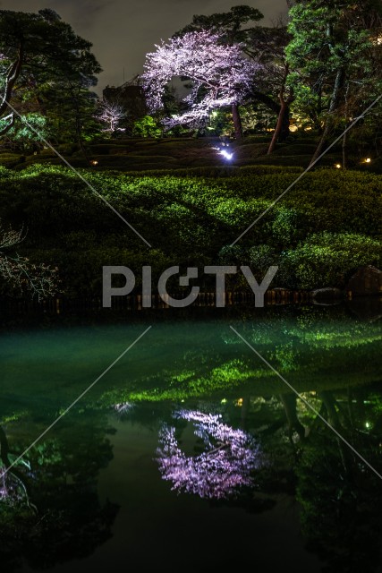 春の日本庭園のイメージ