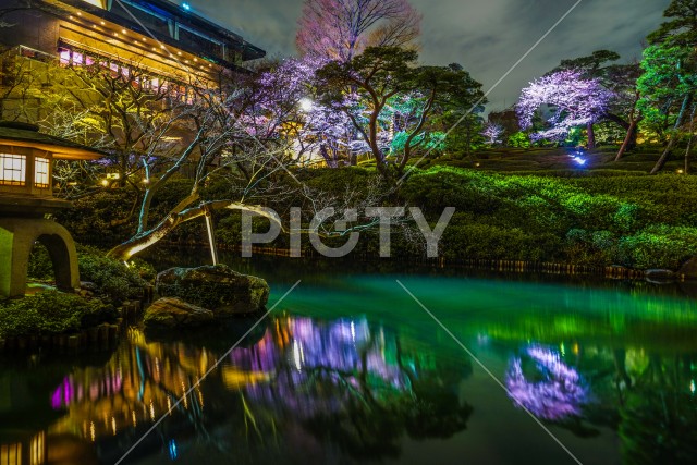 春の日本庭園のイメージ