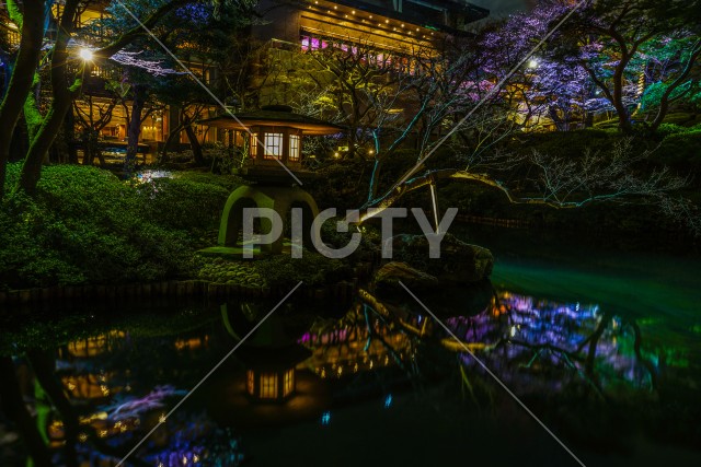 春の日本庭園のイメージ