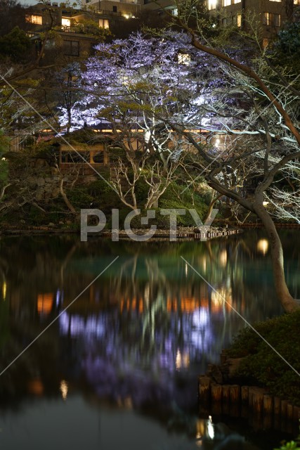 春の日本庭園のイメージ