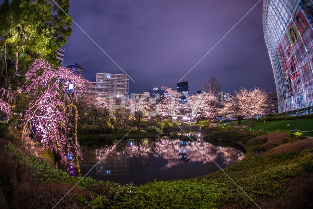 写真のタイトルが入ります