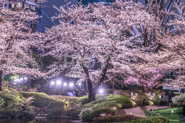 写真のタイトルが入ります