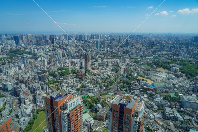 写真のタイトルが入ります
