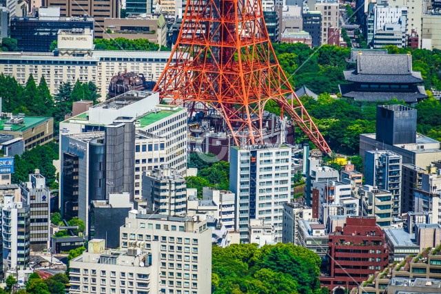 写真のタイトルが入ります