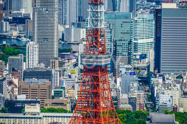東京タワーと都市風景