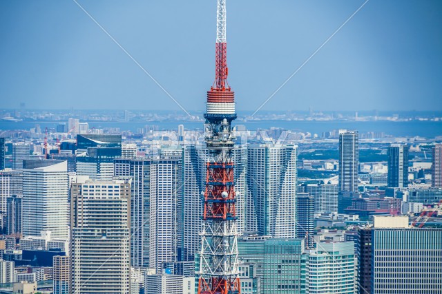 東京タワーと都市風景