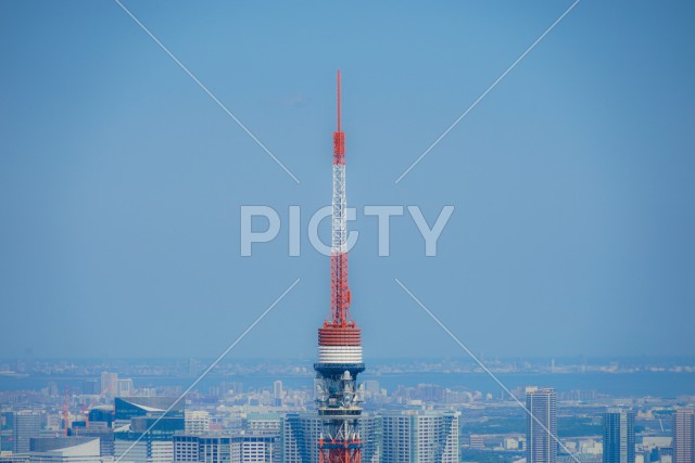 東京タワーと都市風景