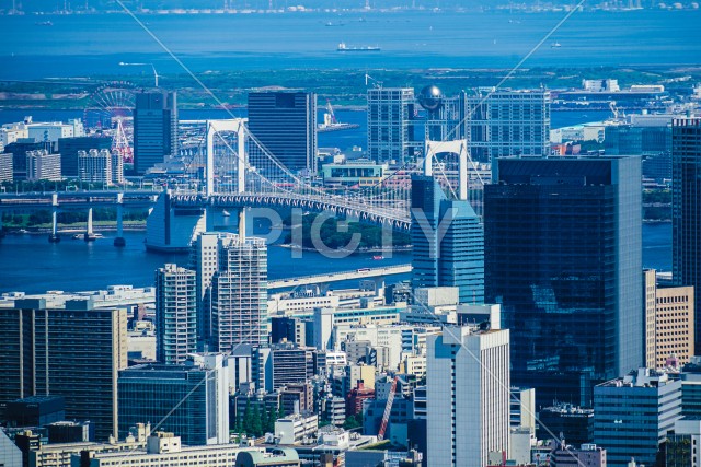 写真のタイトルが入ります