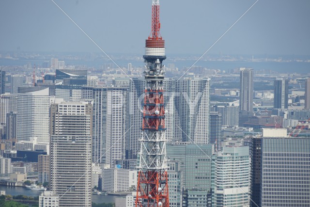 東京タワーと都市風景