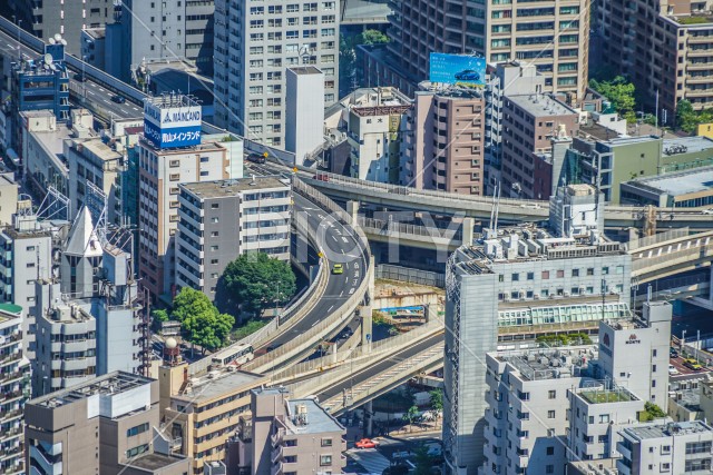 写真のタイトルが入ります