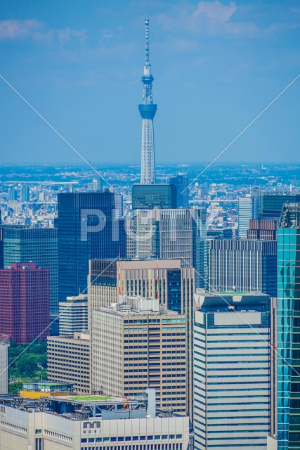 東京スカイツリーと都市風景