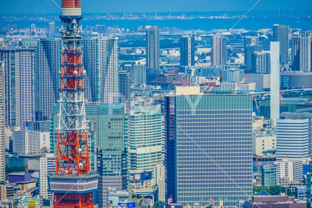 東京タワーと都市風景