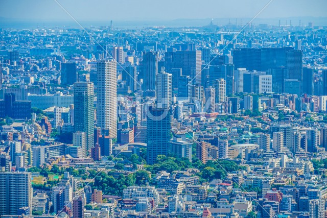 六本木ヒルズ展望台からの都市風景