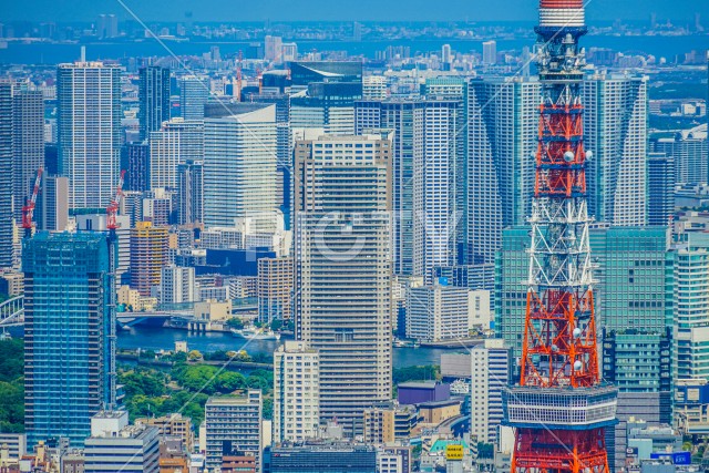 東京タワーと都市風景