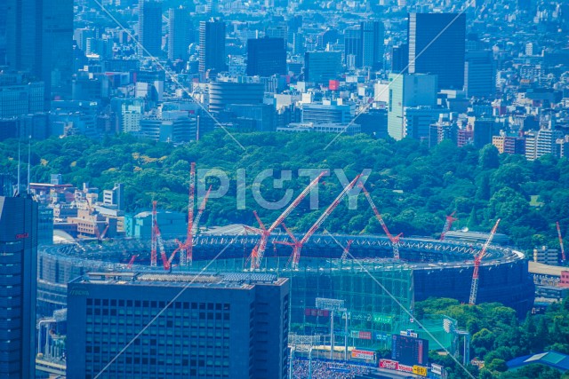 写真のタイトルが入ります