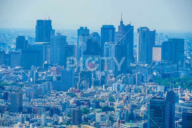 写真のタイトルが入ります