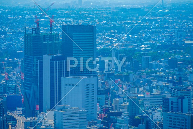 六本木ヒルズ展望台からの渋谷の風景