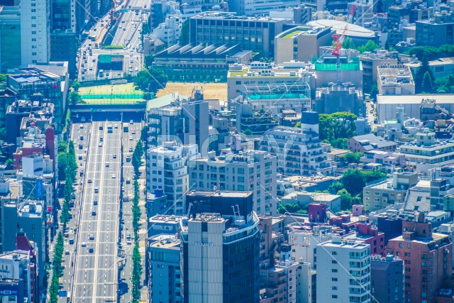 写真のタイトルが入ります