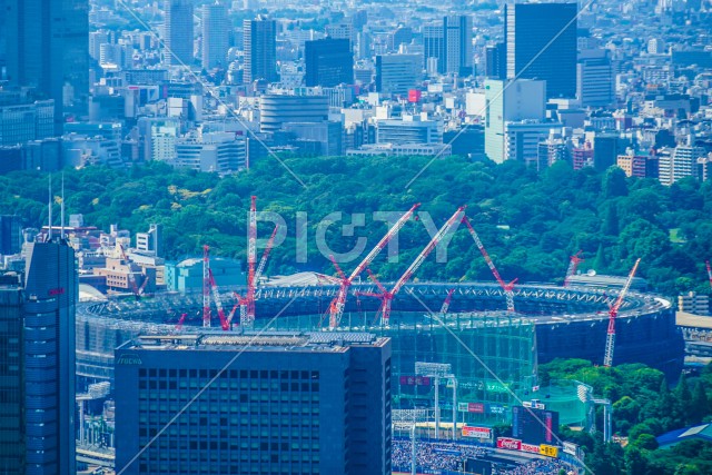 写真のタイトルが入ります