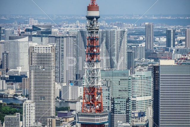 東京タワーと都市風景