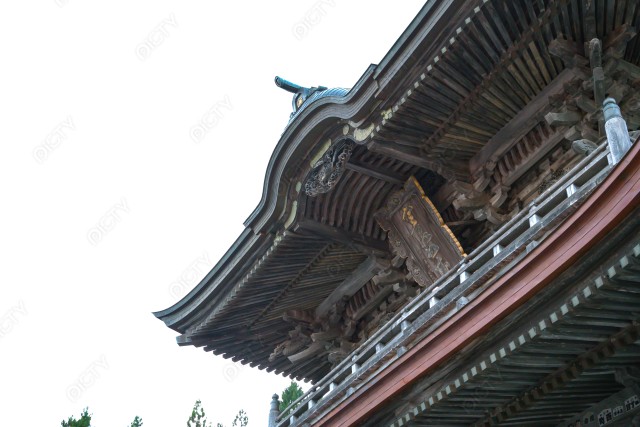 写真のタイトルが入ります