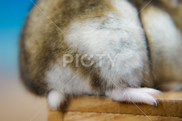 写真のタイトルが入ります
