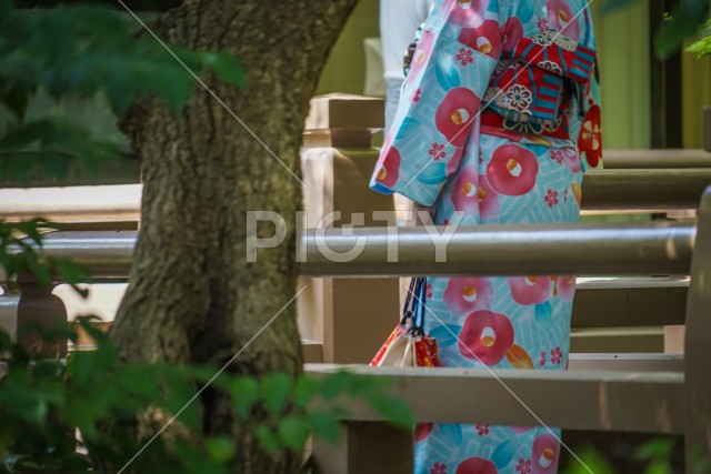 写真のタイトルが入ります