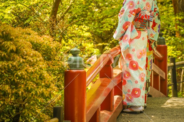 写真のタイトルが入ります