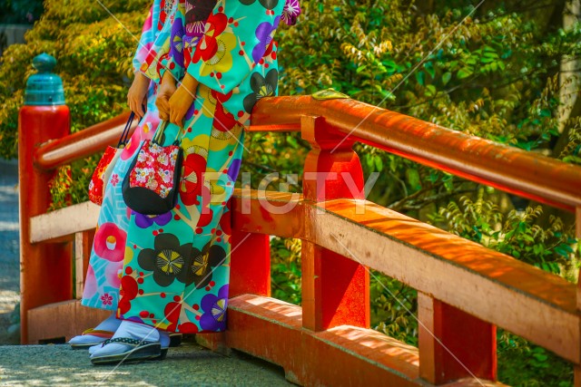 写真のタイトルが入ります