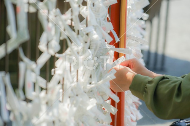 日本の神社のおみくじ