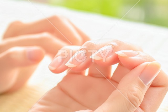 写真のタイトルが入ります