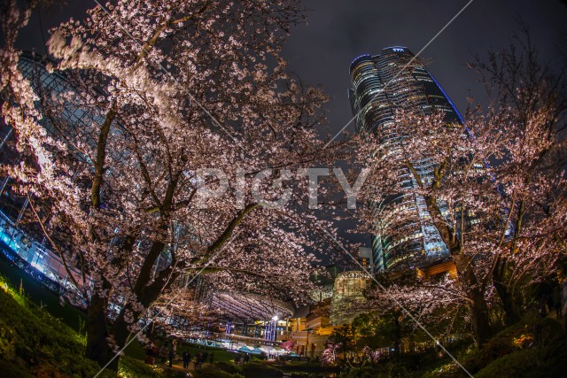 写真のタイトルが入ります