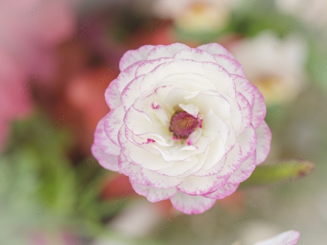 写真のタイトルが入ります