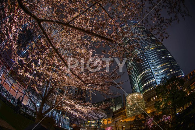 写真のタイトルが入ります