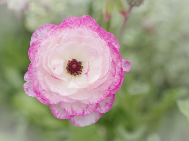 写真のタイトルが入ります