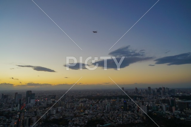 写真のタイトルが入ります