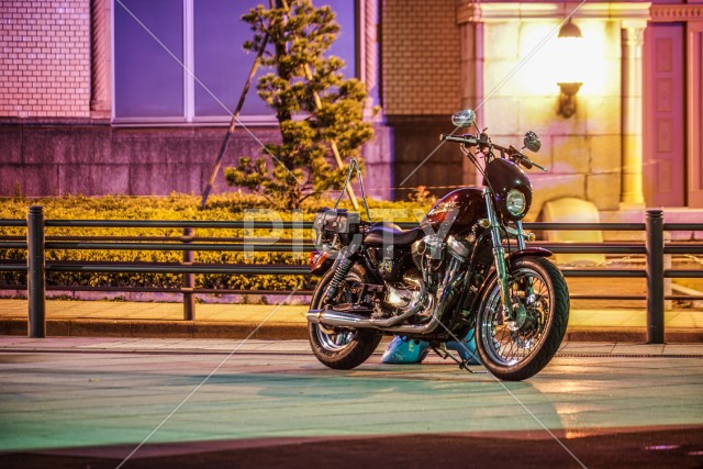 写真のタイトルが入ります