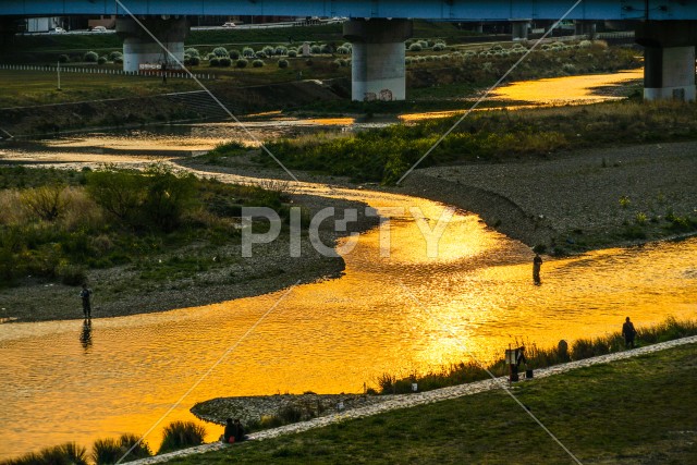 写真のタイトルが入ります